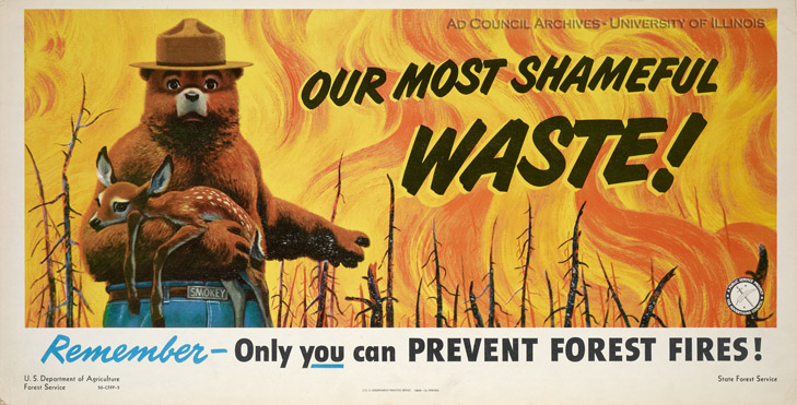 Smokey the Bear forest fire awareness ad